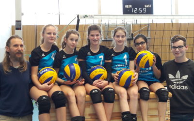 TVA-Volleyballjugend mit ansprechenden Leistungen
