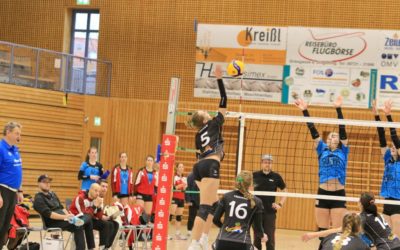 Lethargische Löwinnen