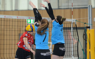 Bissiges Löwenrudel – Altdorfer Volleyballerinnen siegen 3:0