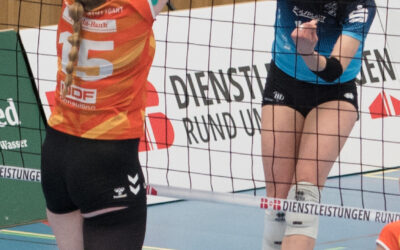 Heimspiel gegen Stuttgart: gestärkte Löwinnen greifen wieder an